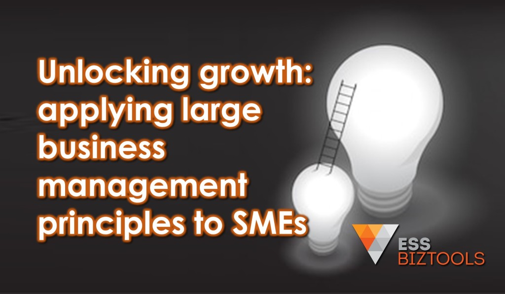 Unlocking growth: applying large business management principles to SMEs
