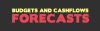 Budgets and Cashflows Forecasts Budgets and Cashflows Forecasts