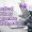 Practical Advisory Support for SME Start-Ups